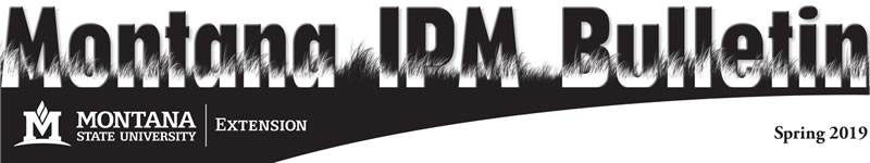 Montana IPM Bulletin banner